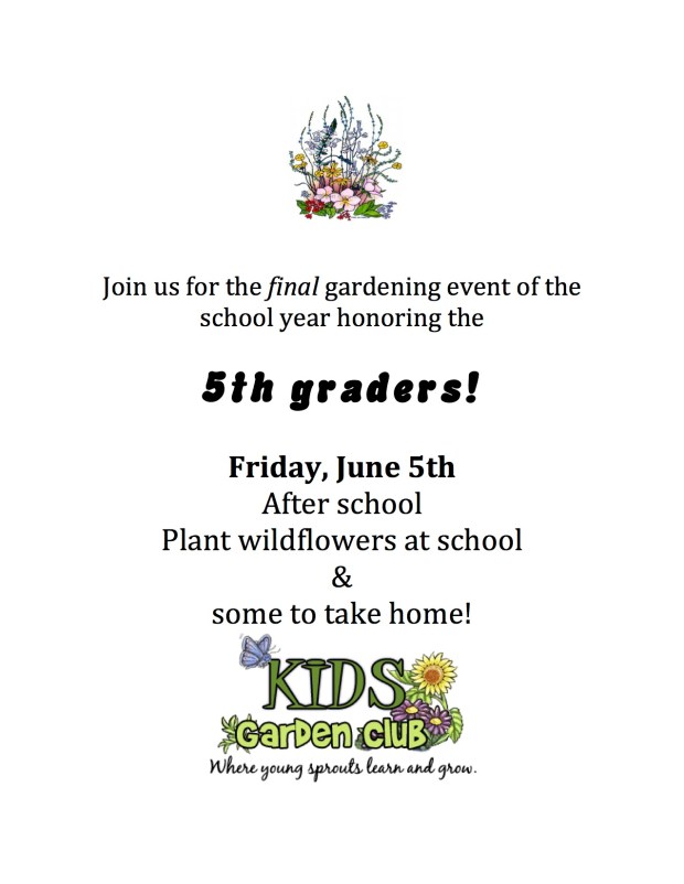 wildflower planting-2