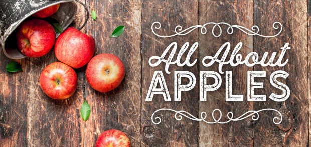 100217_SAL_AppleTip_Page_Hero_-V3